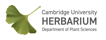 Cambridge University Herbarium logo