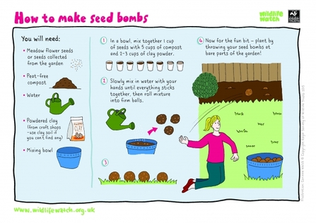 How to make seed bombs