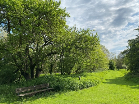 Ramsey Heights Nature Reserve