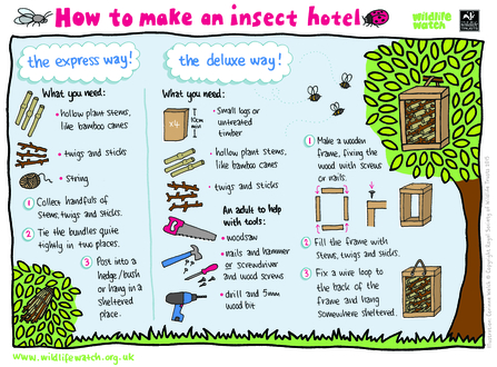 How to make an insect hotel