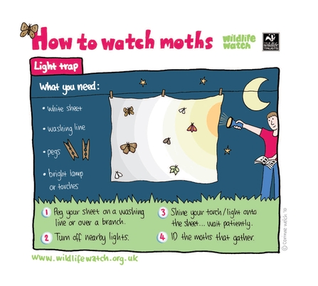 How to watch moths