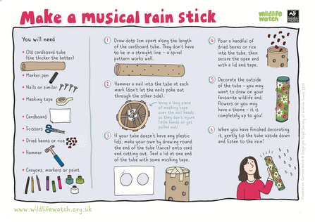Make a musical rain stick