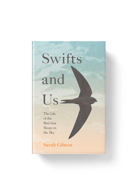 Swifts and Us by Sarah Gibson book cover