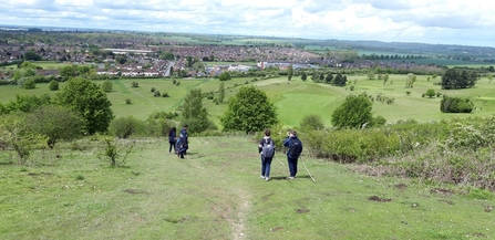 Warden Hill