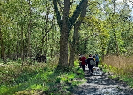 Flitwick Moor