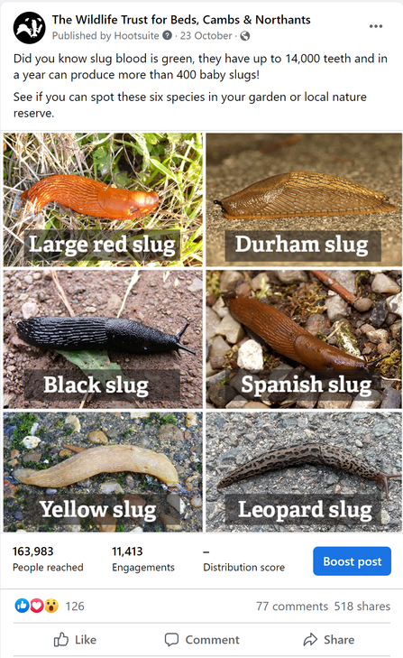 Our Social Highlights - slugs