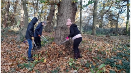 3 Youth Rangers using loppers