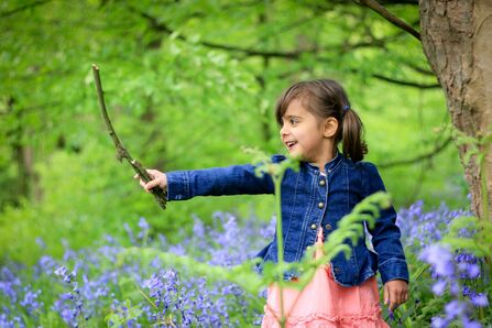 Child with stick in bluebells by Tom Marshall