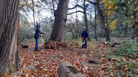 Youth Rangers Flitwick Manor Park