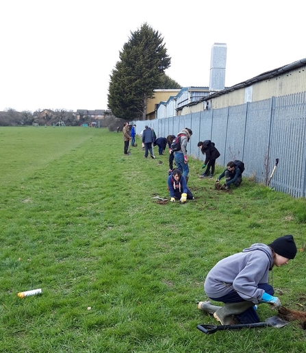 Youth Rangers Hedgelaying