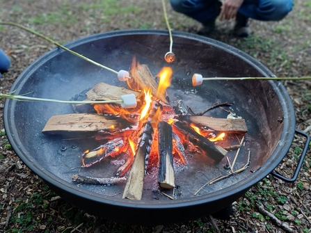 marshmallows on sticks held over a fire of wood in a black fire bowl