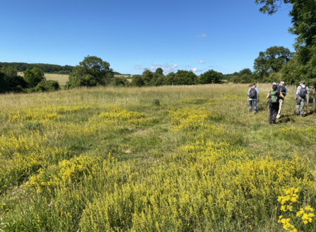 Wansford pasture survey