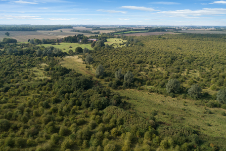 Strawberry Hill - drone view