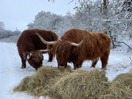 Highlands at Pegsdon