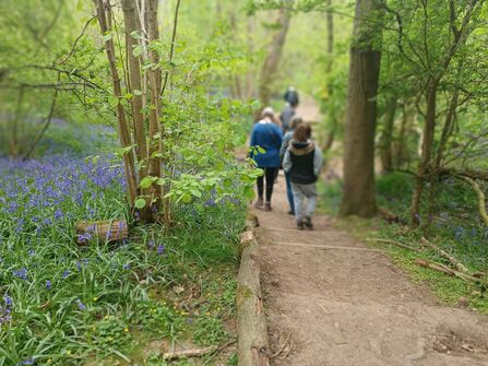 People walking through Waresley and Gransden Woods by Rebecca Neal