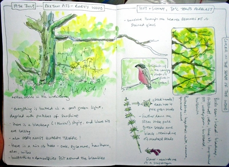 Pages of a nature journal with scenes of trees and bullfinch and descriptive text