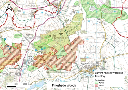 Fineshade Woods showing extent of currently designated ancient woodland