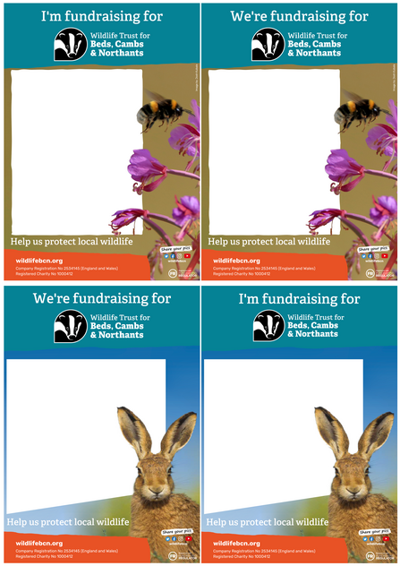Fundraising poster montage