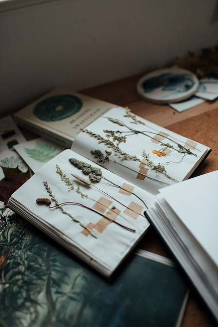 An open sketchbook with wildflower specimens surrounded by creative implements like paint