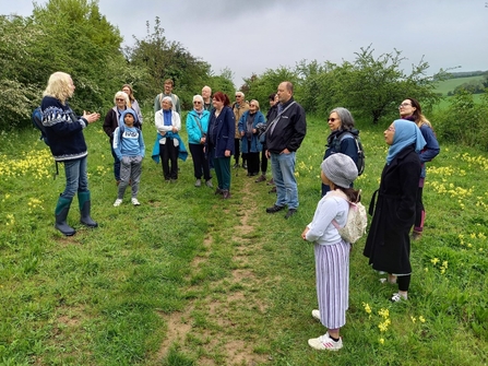 Bird Walk Bradgers