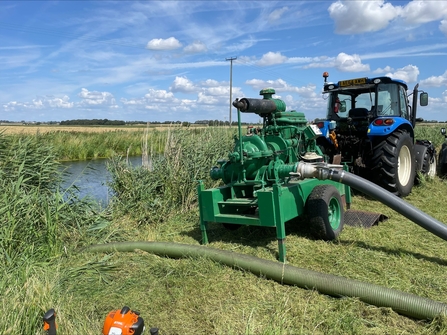 Bertha, Great Fen by Ian Hilbert