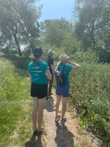 Corporate team work day, members of staff on a guided walk in the sun