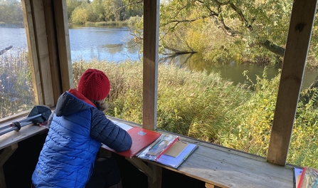 Lady sitting in a hide, looking out to the water with her art materials for journaling