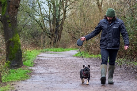 Man walking dog