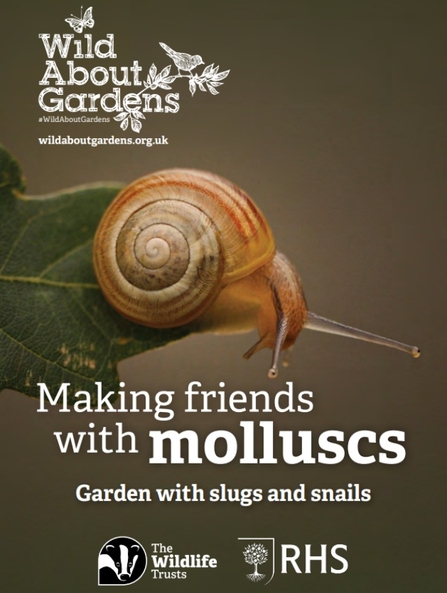 Wild About Gardens 2024 front cover