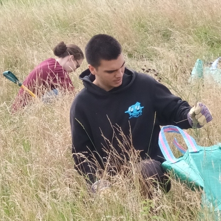Two people pulling ragwort on a wild work day