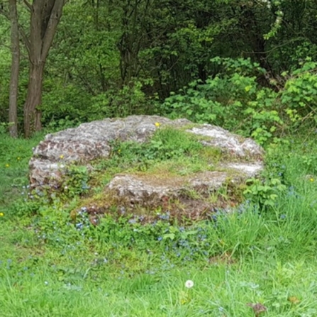 The remains of a lime kiln surrounded by grass in a field