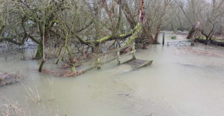 Begwary Brook, Beds by Keith Balmer