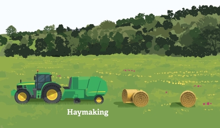 A graphic depicting a green tractor making hay bales on a field