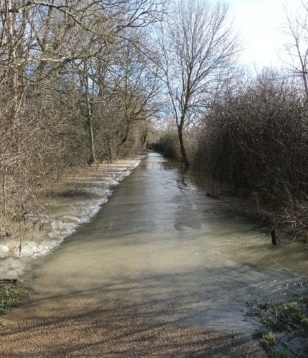 Nene Wetlands Greenway by Pete Bray