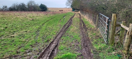 Pegsdon top field