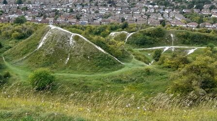 Blows Downs Aerial image showing the hills and chalky pathways