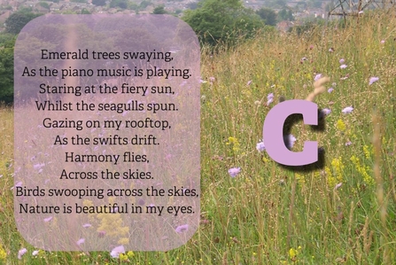 Poem reads: Emerald trees swaying, As the piano music is playing. Staring at the fiery sun, Whilst the seagulls spun. Gazing on my rooftop, As the swifts drift. Harmony flies, Across the skies. Birds swooping across the skies, Nature is beautiful in my eyes.