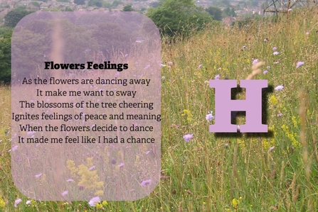 Flowers Feelings. As the flowers are dancing away, It makes me want to sway, The blossoms of the tree cheering, Ignites feelings of peace and meaning, When the flowers decide to dance, It made me feel like I had a chance