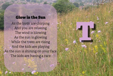 Glow in the Sun As the birds are chirping, And you are relaxing, The wind is blowing As the sun is glowing While the trees are rising And the kids are playing As the sun is shining on your face The kids are having a race