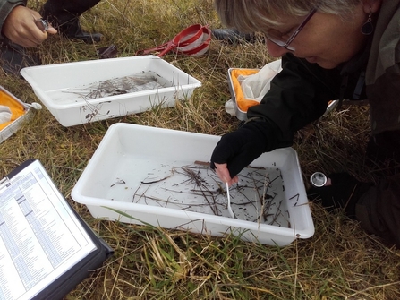 Monitoring and Research Volunteering | Wildlife Trust for Beds Cambs ...