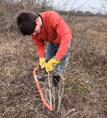 Young person sawing at Dogsthorpe