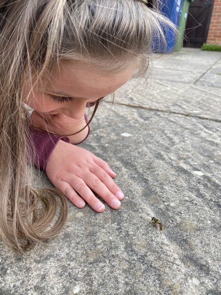 A young girl crouches on a patio looking at a hoverfly on the ground in front over