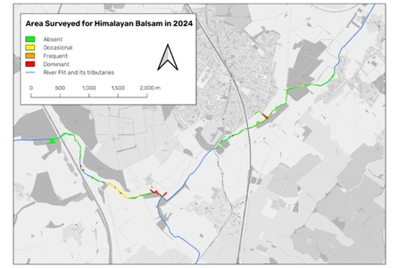 Himalayan Balsam survey area 2024