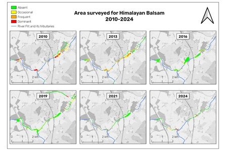 Himalayan Balsam survey areas 2010-2024