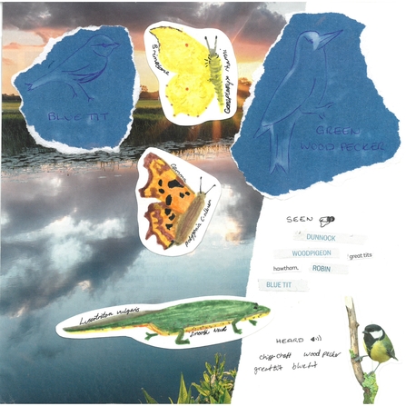 March nature journal, with scetches, watercolour images and lists of sightings; dunnock, woodpecker, robin, great tits, blue tit and hawthorn, and things heard including chiff-chaff, woodpecker, great tit and blue tit.