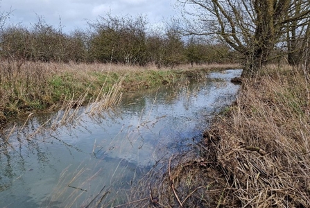 SH stream after rainfall