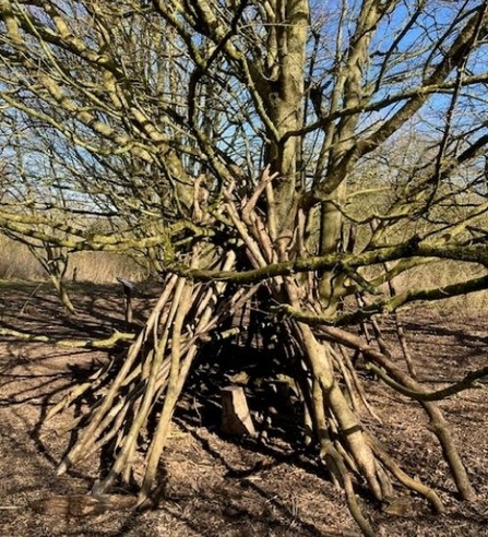 A den built out of twigs leant up against a tree