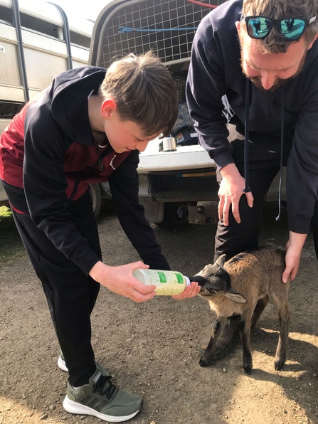 A boy smiles as he leans over and botle feeds a buff and brown coloured lamb resting against the leg of a livestock officer