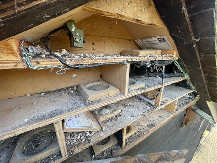 Swift box