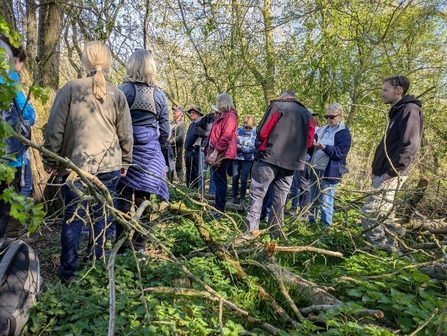A group of people stand together, inspecting a tree